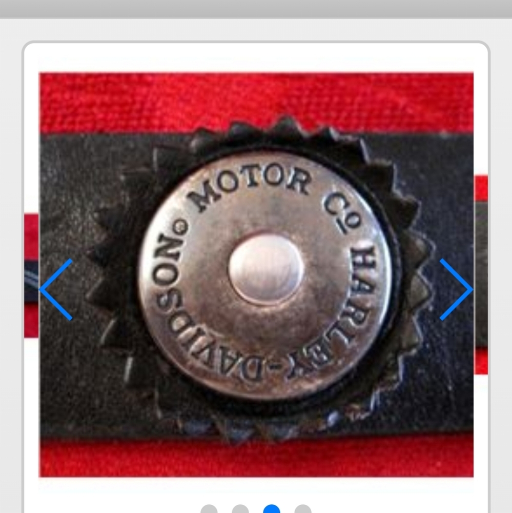 ISO THIS HARLEY DAVIDSON BELT